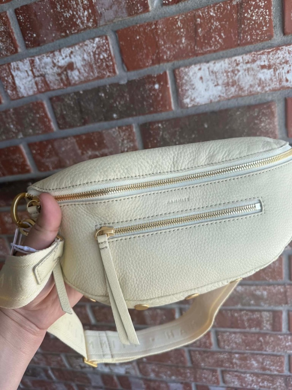 Hammitt Charles  Med -Dawn-BG